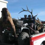 Out West Safaris 2007 Bull Elk