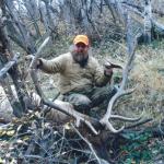 Out West Safaris 2007 Bull Elk