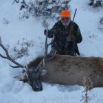 Out West Safaris 2007 Bull Elk