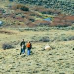 Out West Safaris 2007 Bull Elk