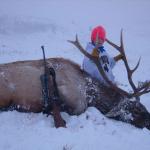 Out West Safaris 2007 Bull Elk