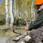 Out West Safaris 2007 Mule Deer