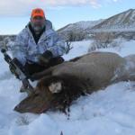 January Cow Elk Hunting