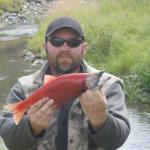 Spawning Kokanee Salmon