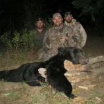 Fall Archery Black Bear