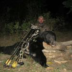 Fall Archery Black Bear