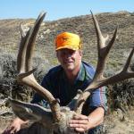 Mule Deer