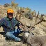 Mule Deer