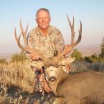 Mule Deer