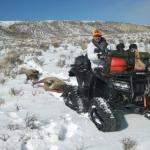 January Cow Elk Hunting