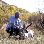 Out West Safaris Pronghorn Antelope