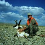 Out West Safaris Pronghorn Antelope