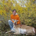 Out West Safaris Pronghorn Antelope