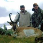 Out West Safaris Pronghorn Antelope