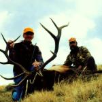 Out West Safaris Bull Elk Hunting Pictures.