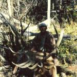 Out West Safaris Bull Elk Hunting Pictures.