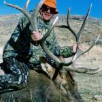 Out West Safaris Bull Elk Hunting Pictures.