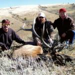 Out West Safaris Bull Elk Hunting Pictures.