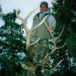 Out West Safaris Bull Elk Hunting Pictures.